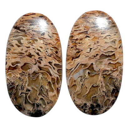 Root Plume Agate Pair 14x25.5x4 mm Oval Shape Polished Gemstone LS18-07835