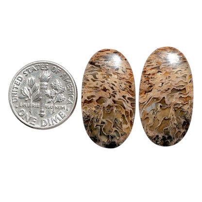 Root Plume Agate Pair 14x25.5x4 mm Oval Shape Polished Gemstone LS18-07835