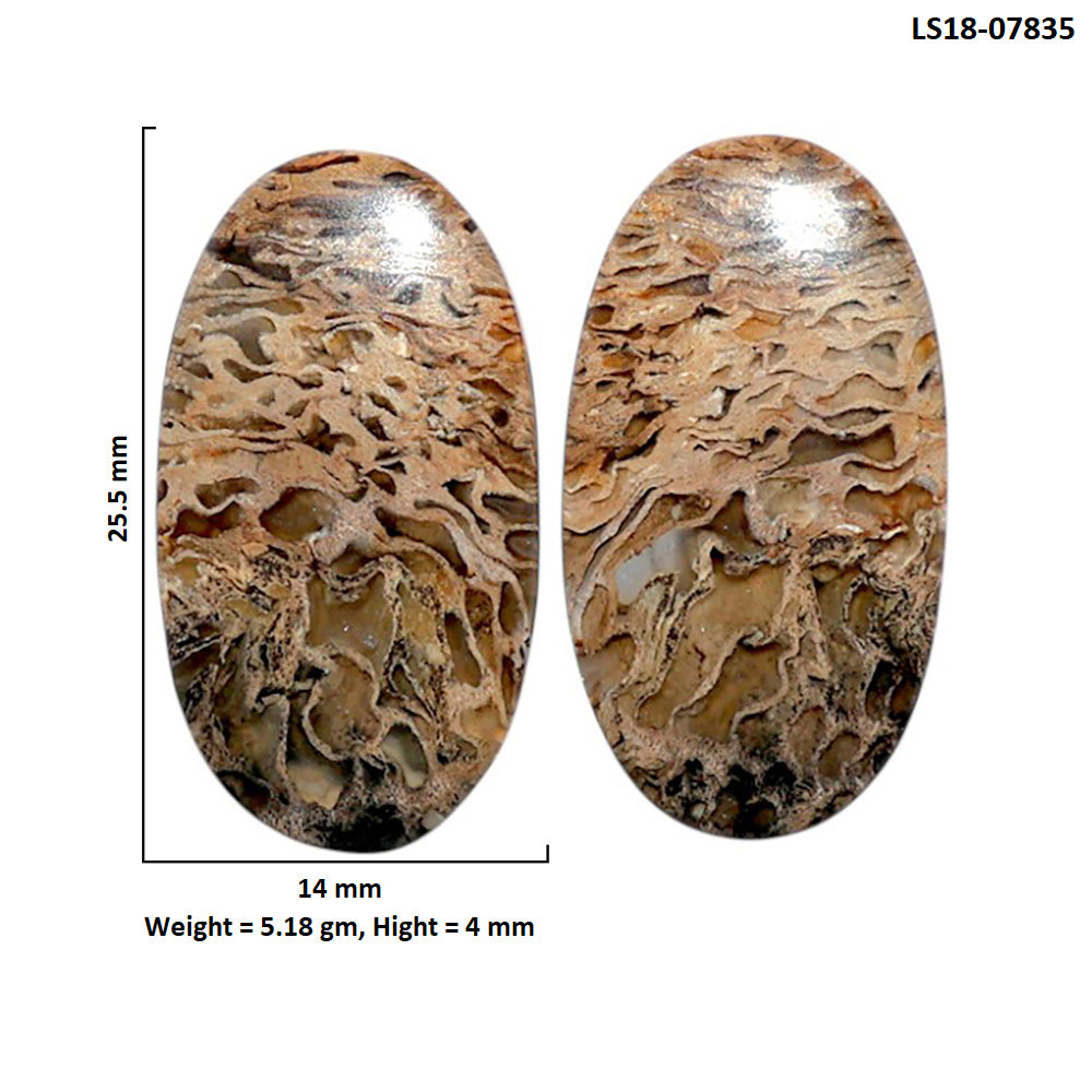 Root Plume Agate Pair 14x25.5x4 mm Oval Shape Polished Gemstone LS18-07835