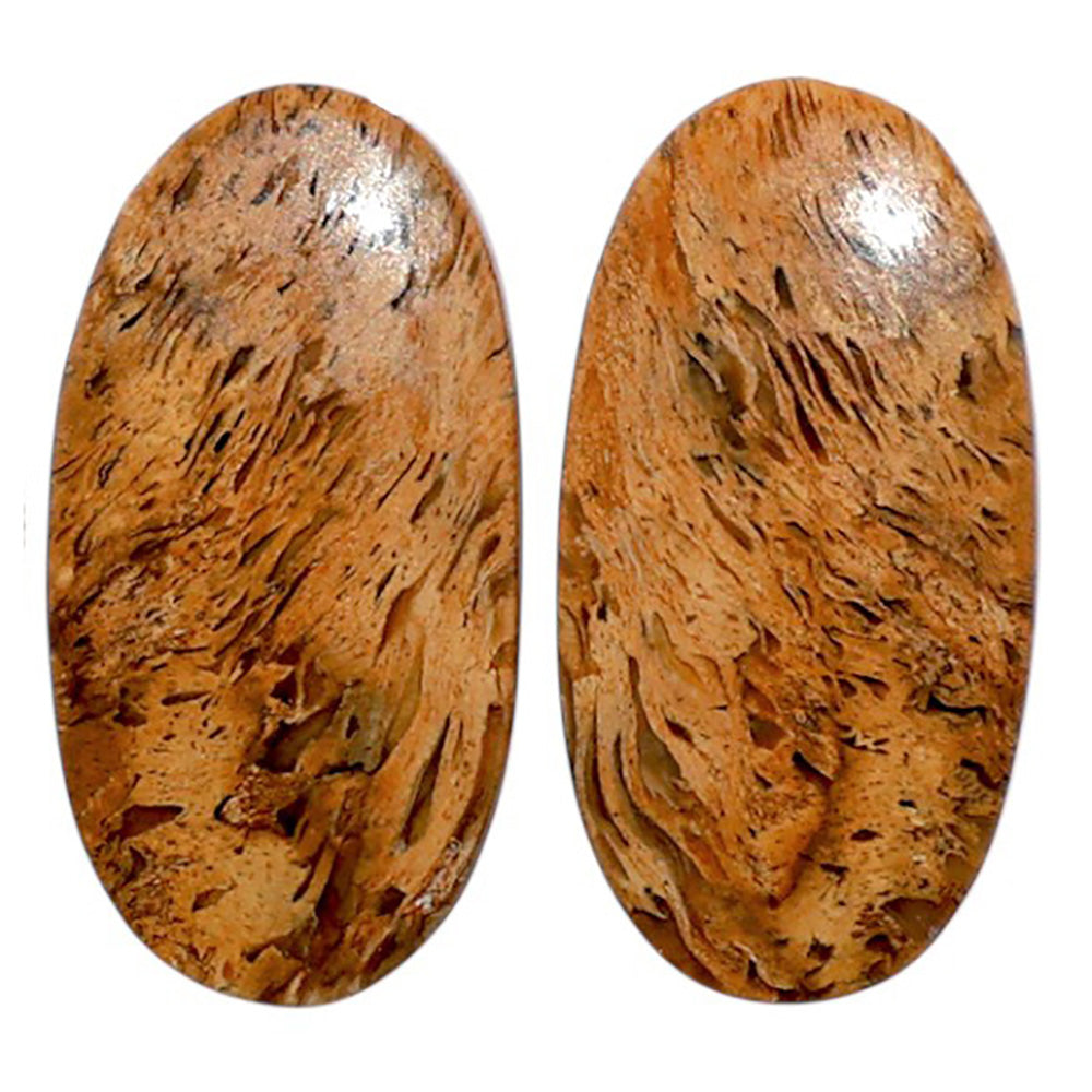 Root Plume Agate Pair 12.9x24.9x4.5 mm Oval Shape Polished Gemstone LS18-07836