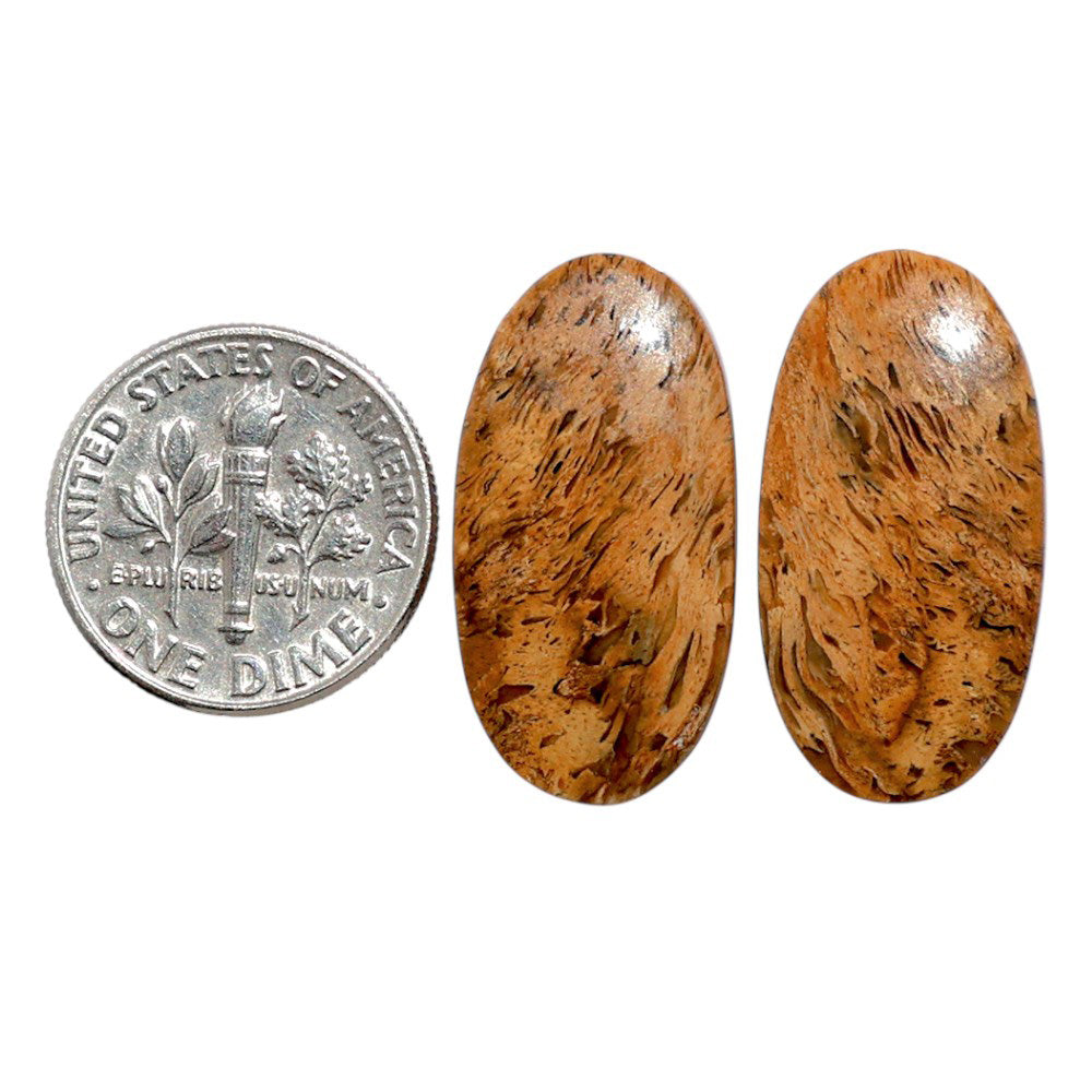 Root Plume Agate Pair 12.9x24.9x4.5 mm Oval Shape Polished Gemstone LS18-07836
