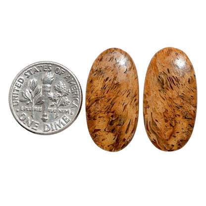 Root Plume Agate Pair 12.9x24.9x4.5 mm Oval Shape Polished Gemstone LS18-07836