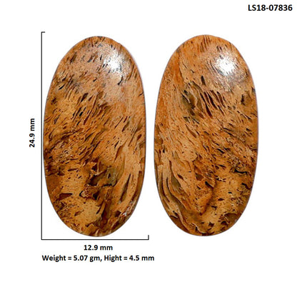 Root Plume Agate Pair 12.9x24.9x4.5 mm Oval Shape Polished Gemstone LS18-07836
