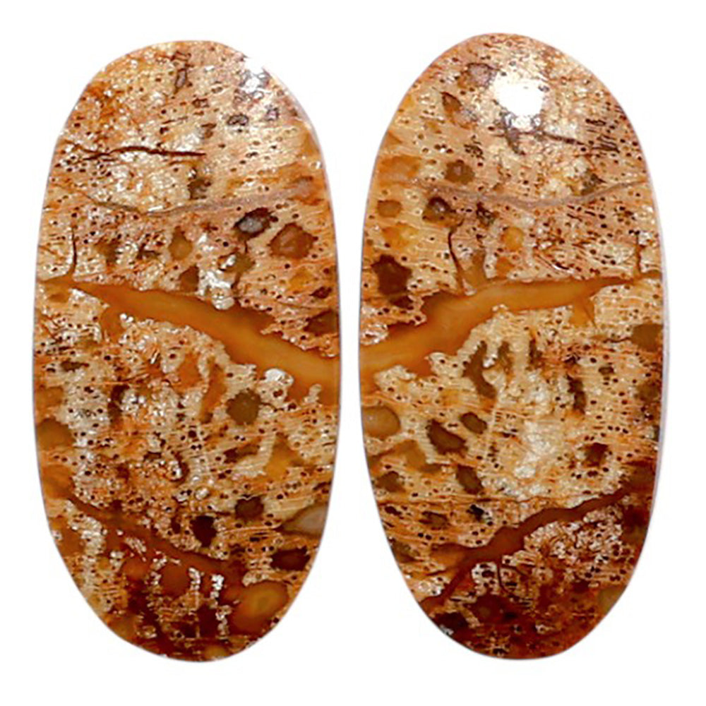 Root Plume Agate Pair 12.2x24.5x3.7 mm Oval Shape Polished Gemstone LS18-07837
