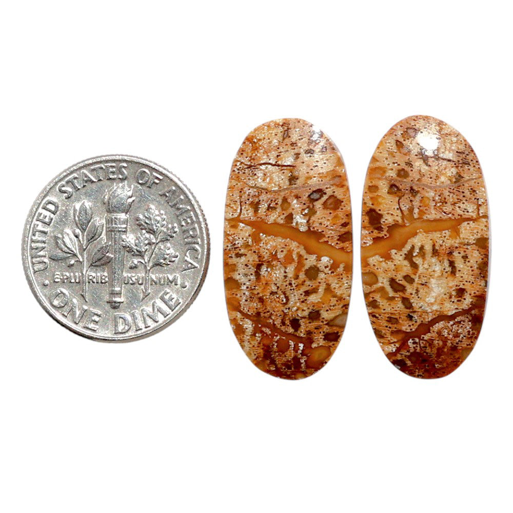 Root Plume Agate Pair 12.2x24.5x3.7 mm Oval Shape Polished Gemstone LS18-07837