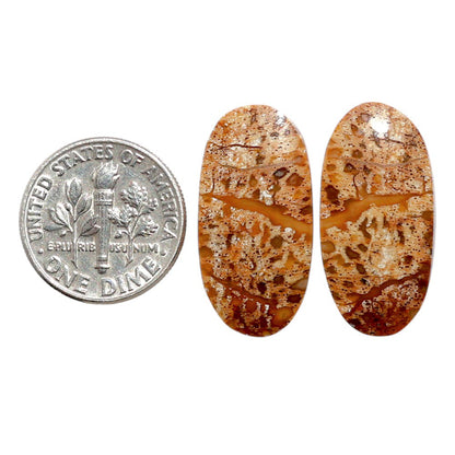 Root Plume Agate Pair 12.2x24.5x3.7 mm Oval Shape Polished Gemstone LS18-07837