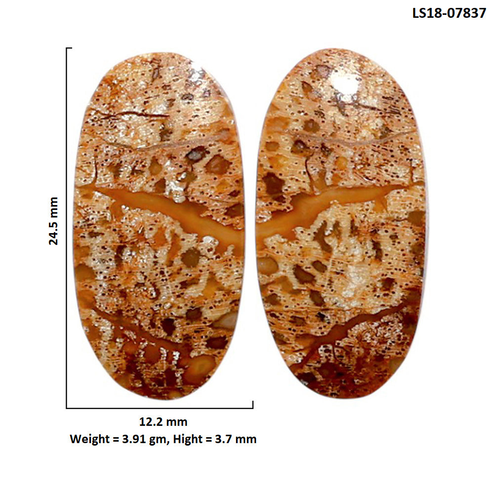 Root Plume Agate Pair 12.2x24.5x3.7 mm Oval Shape Polished Gemstone LS18-07837