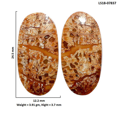 Root Plume Agate Pair 12.2x24.5x3.7 mm Oval Shape Polished Gemstone LS18-07837