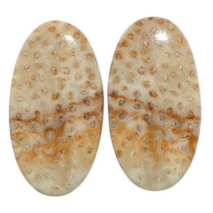 Root Plume Agate Pair 12.3x22.9x4 mm Oval Shape Polished Gemstone LS18-07838