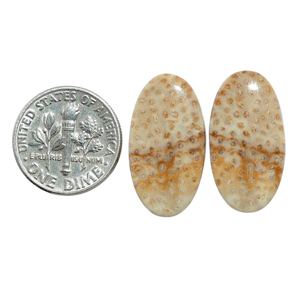 Root Plume Agate Pair 12.3x22.9x4 mm Oval Shape Polished Gemstone LS18-07838