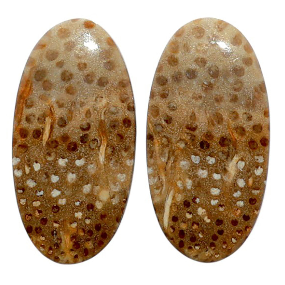 Root Plume Agate Pair 11.6x23.15x4 mm Oval Shape Polished Gemstone LS18-07839