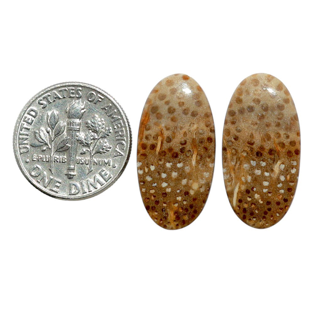 Root Plume Agate Pair 11.6x23.15x4 mm Oval Shape Polished Gemstone LS18-07839