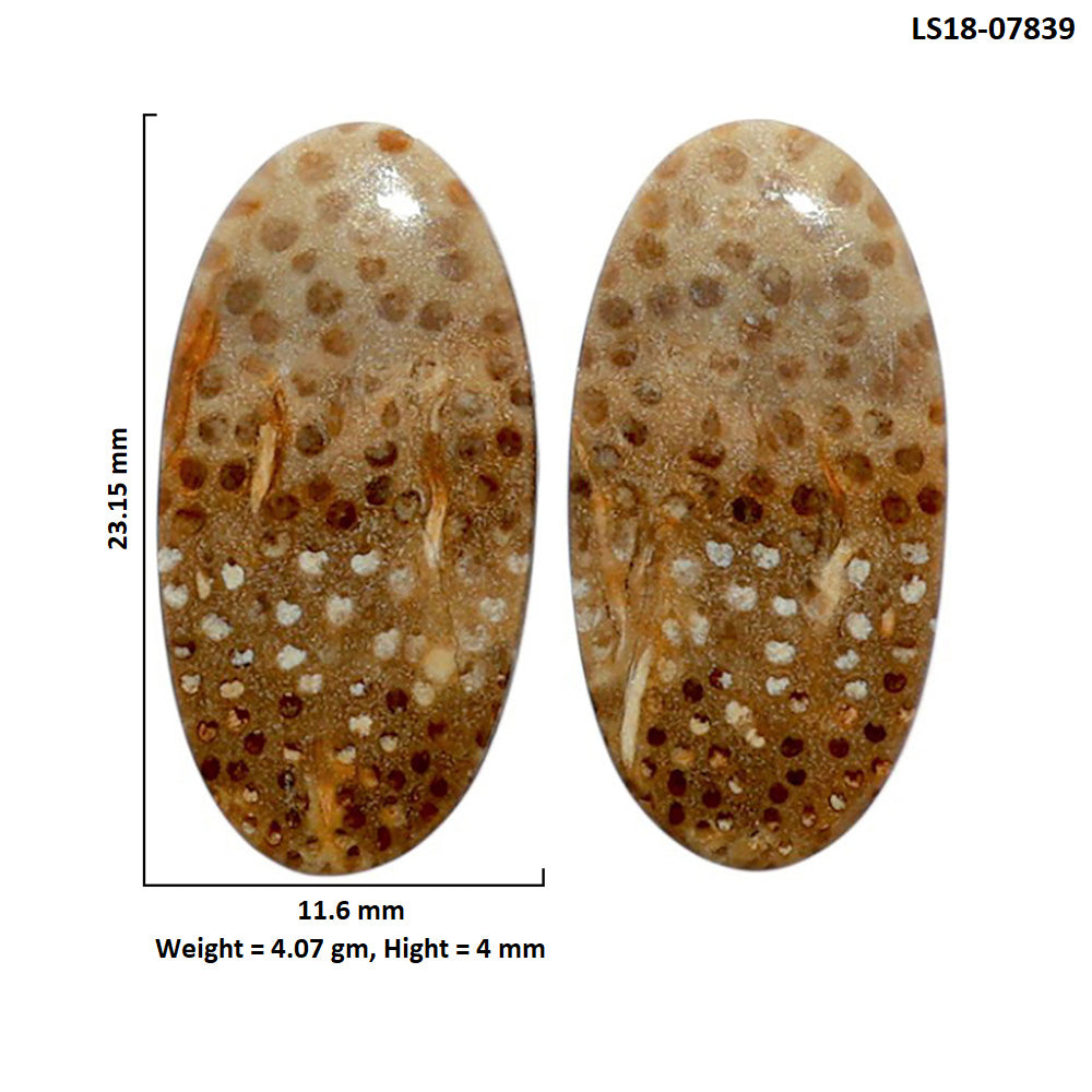 Root Plume Agate Pair 11.6x23.15x4 mm Oval Shape Polished Gemstone LS18-07839