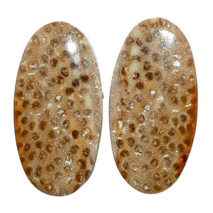 Root Plume Agate Pair 11.5x22.7x4.3 mm Oval Shape Polished Gemstone LS18-07840