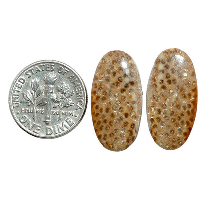 Root Plume Agate Pair 11.5x22.7x4.3 mm Oval Shape Polished Gemstone LS18-07840