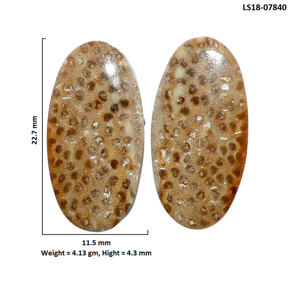Root Plume Agate Pair 11.5x22.7x4.3 mm Oval Shape Polished Gemstone LS18-07840