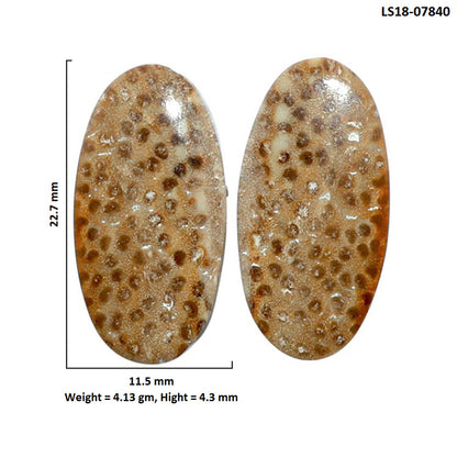 Root Plume Agate Pair 11.5x22.7x4.3 mm Oval Shape Polished Gemstone LS18-07840