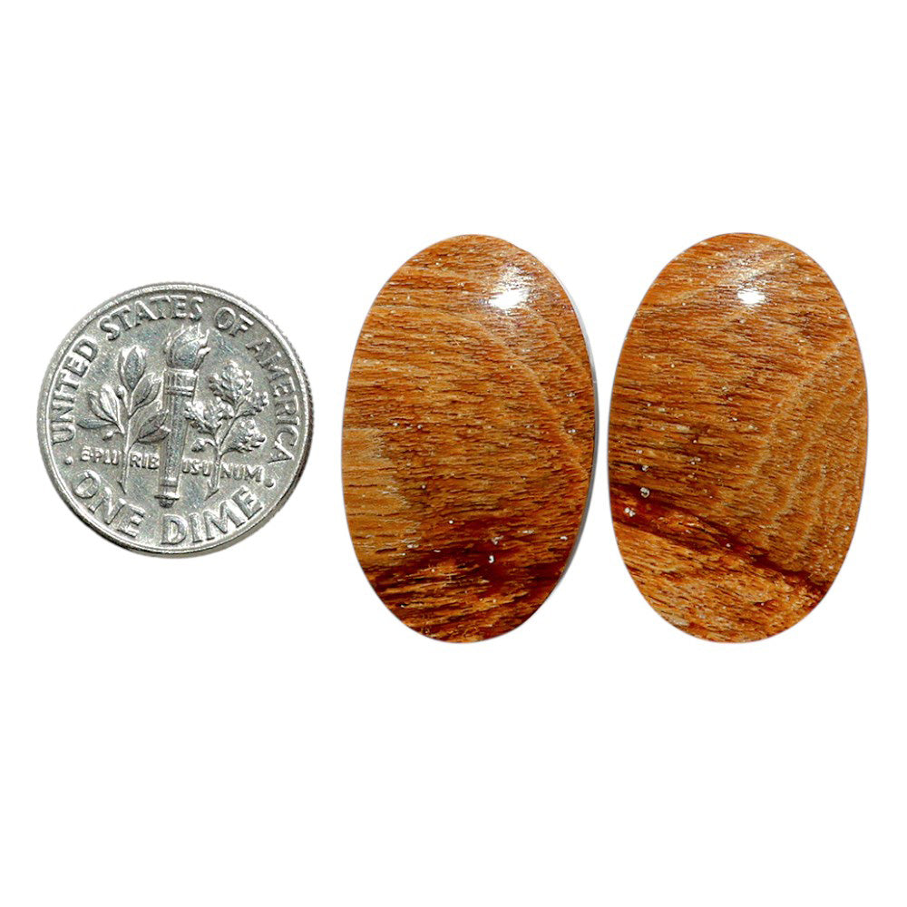 Root Plume Agate Pair 16.5x26.1x4 mm Oval Shape Polished Gemstone LS18-07842