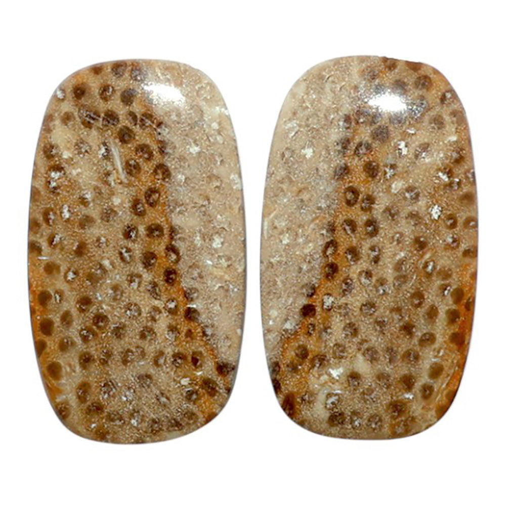 Root Plume Agate Pair 12.7x22.4x4 mm Cushion Shape Polished Gemstone LS18-07843