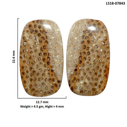 Root Plume Agate Pair 12.7x22.4x4 mm Cushion Shape Polished Gemstone LS18-07843