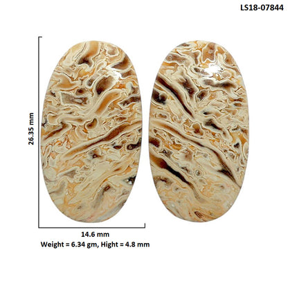 Root Plume Agate Pair 14.6x26.35x4.8 mm Oval Shape Polished Gemstone LS18-07844