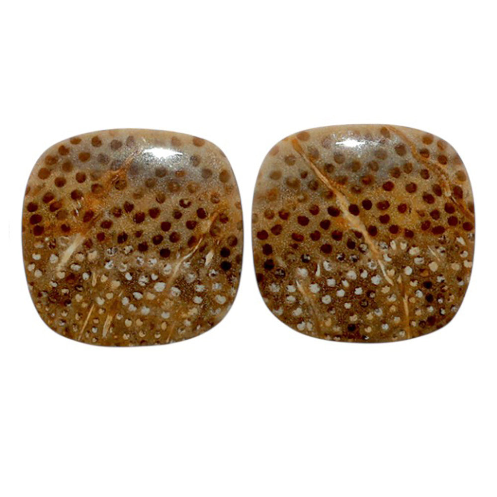 Root Plume Agate Pair 19x19.2x4.4 mm Cushion Shape Polished Gemstone LS18-07845