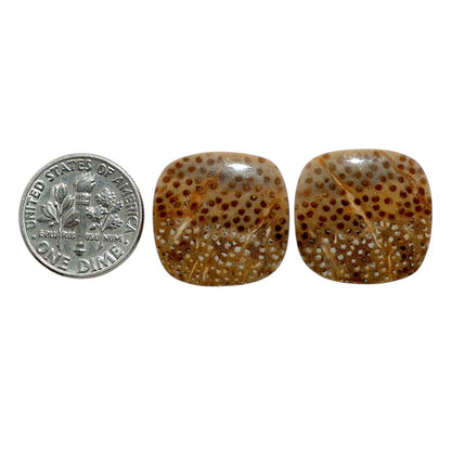 Root Plume Agate Pair 19x19.2x4.4 mm Cushion Shape Polished Gemstone LS18-07845