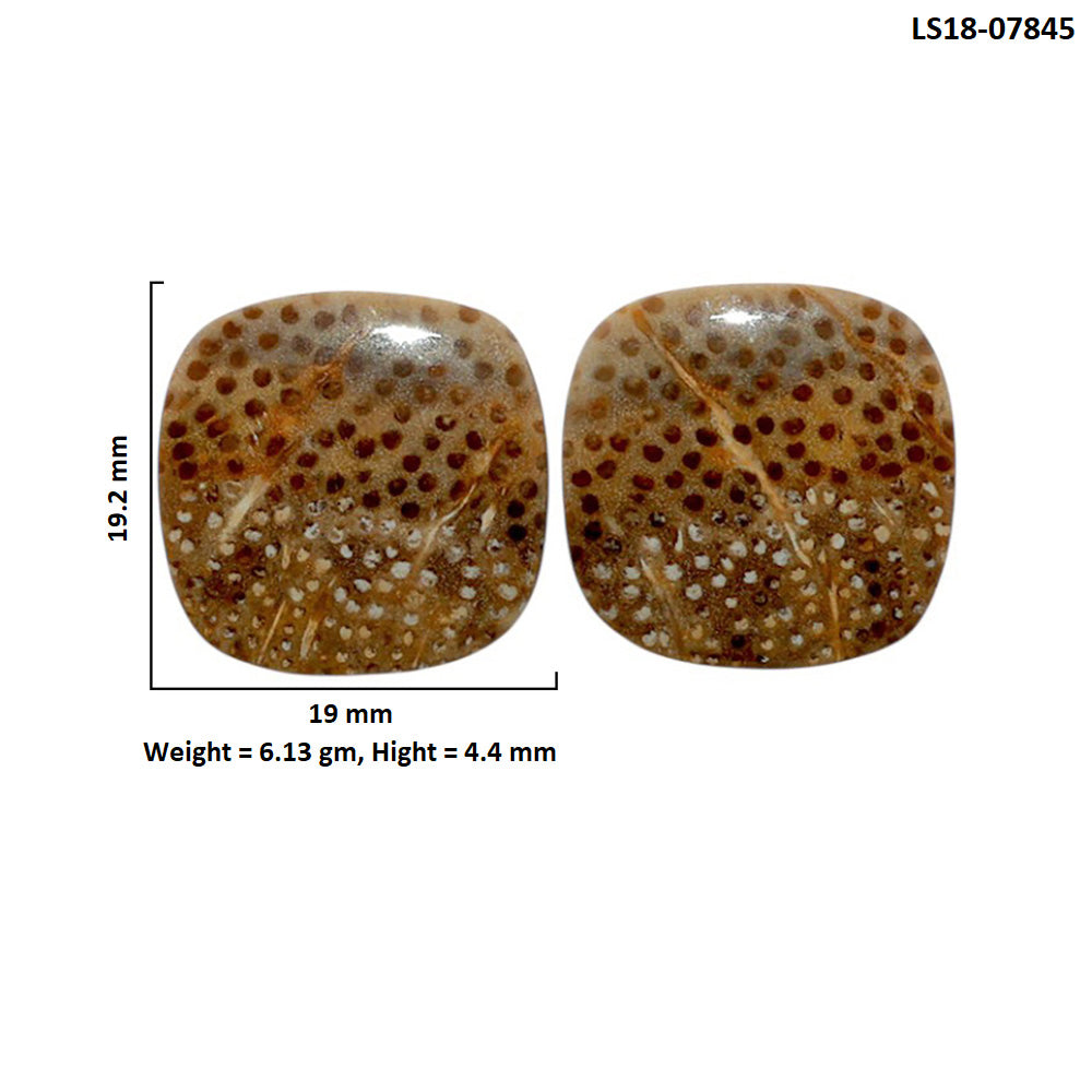 Root Plume Agate Pair 19x19.2x4.4 mm Cushion Shape Polished Gemstone LS18-07845