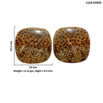 Root Plume Agate Pair 19x19.2x4.4 mm Cushion Shape Polished Gemstone LS18-07845