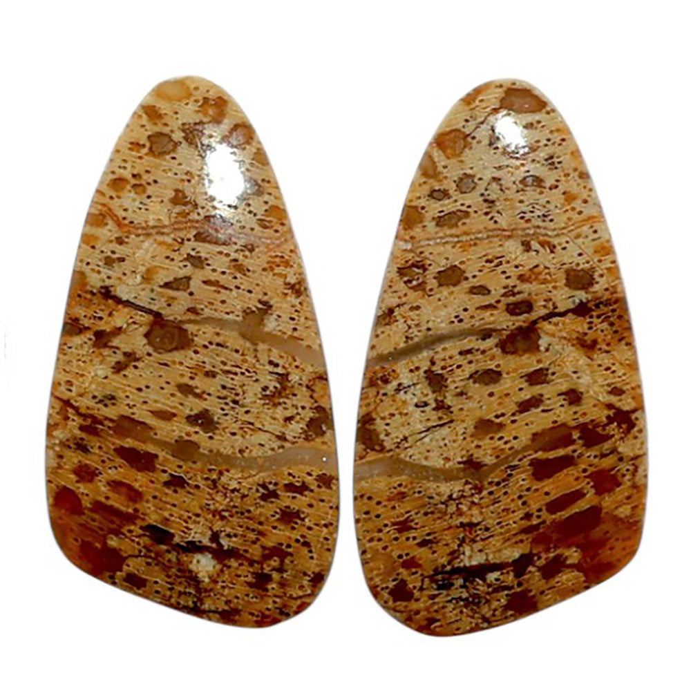 Root Plume Agate Pair 13x24.9x4 mm Fancy Shape Polished Gemstone LS18-07846