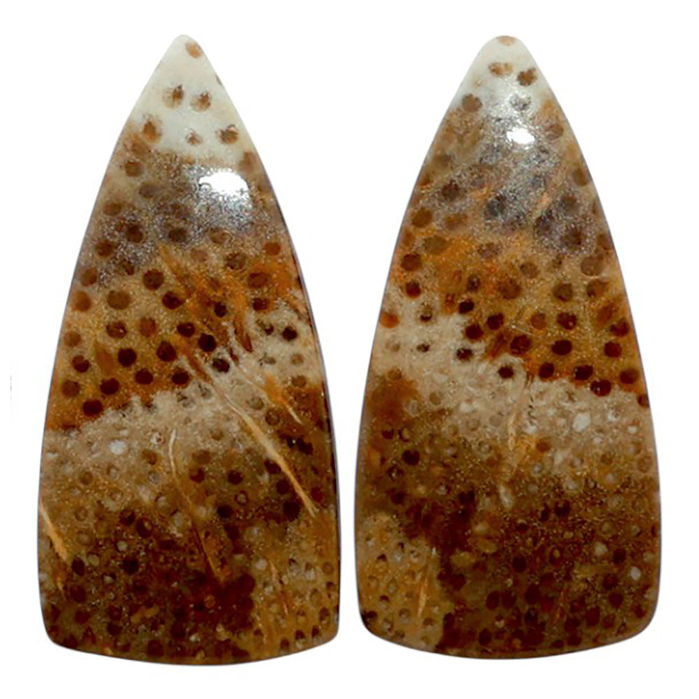Root Plume Agate Pair 13.3x27.4x4 mm Fancy Shape Polished Gemstone LS18-07847