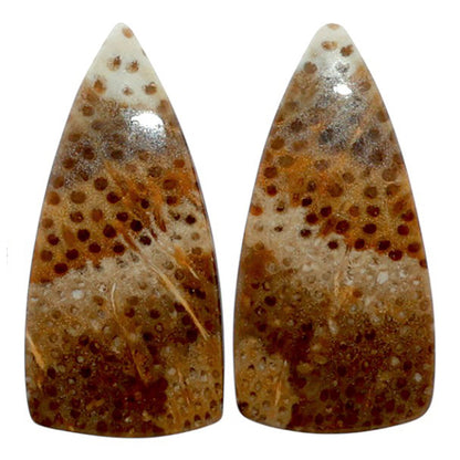 Root Plume Agate Pair 13.3x27.4x4 mm Fancy Shape Polished Gemstone LS18-07847