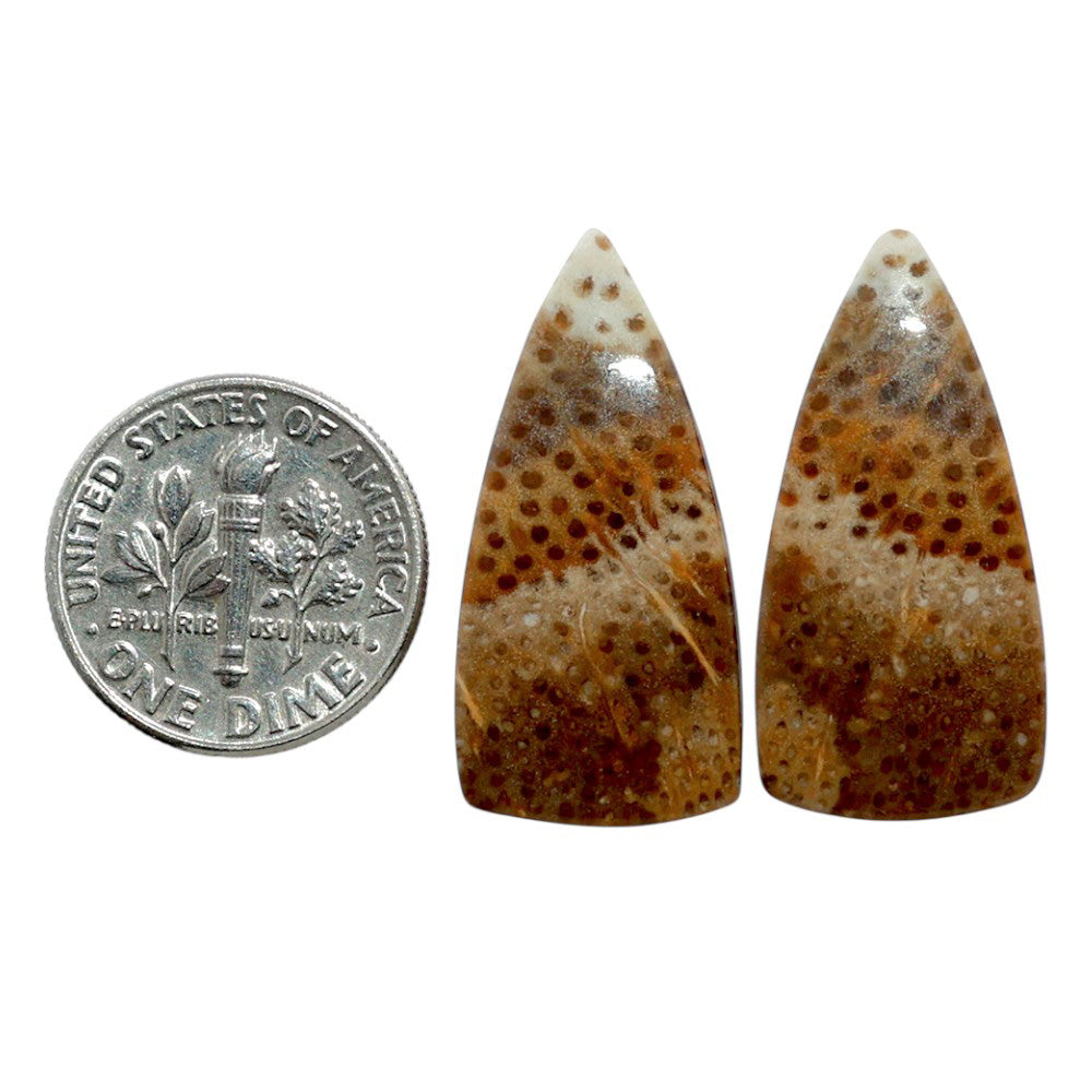 Root Plume Agate Pair 13.3x27.4x4 mm Fancy Shape Polished Gemstone LS18-07847