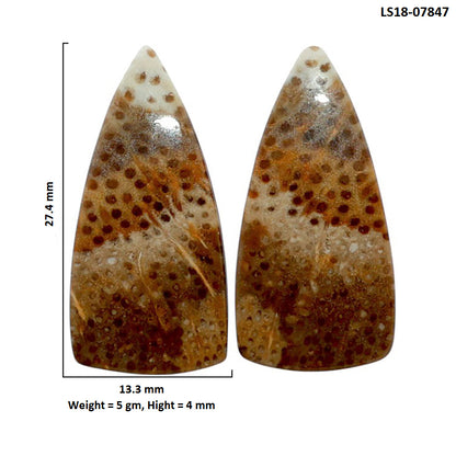 Root Plume Agate Pair 13.3x27.4x4 mm Fancy Shape Polished Gemstone LS18-07847