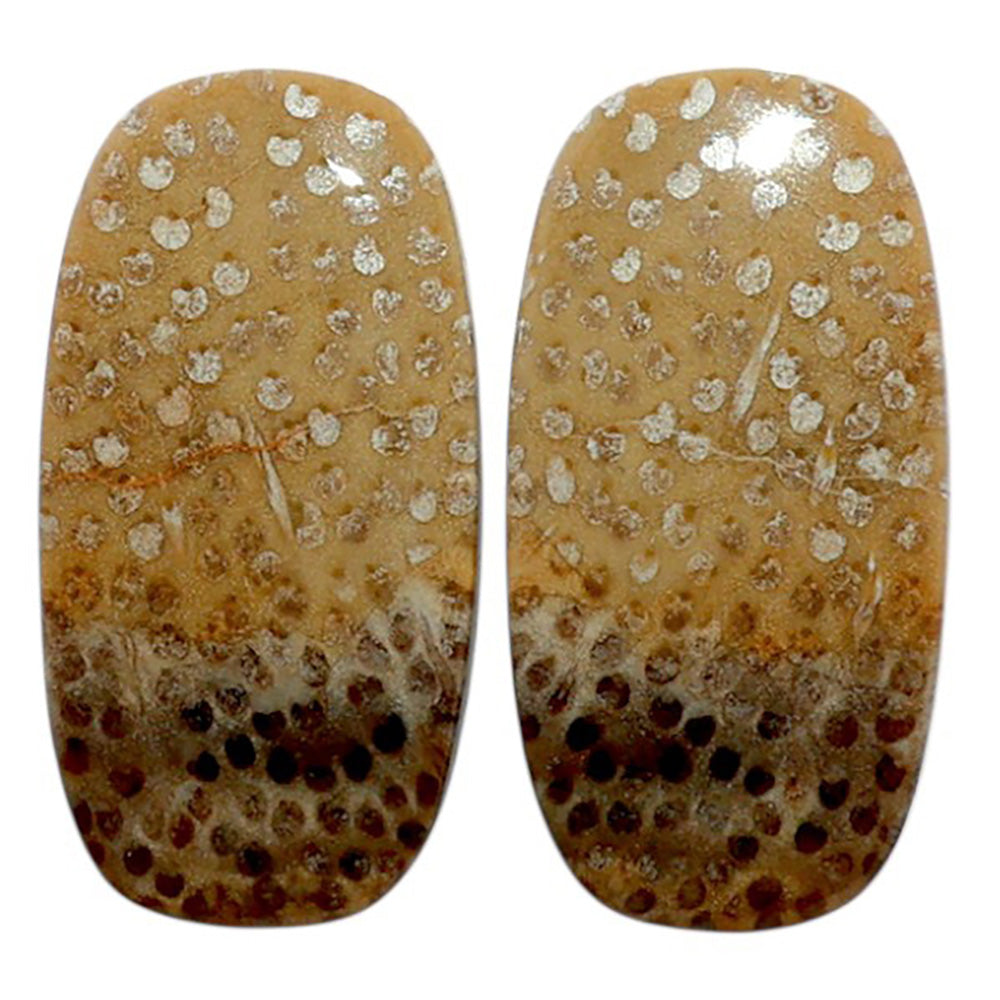 Root Plume Agate Pair 13.1x25.4x4 mm Cushion Shape Polished Gemstone LS18-07849