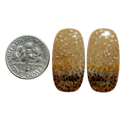 Root Plume Agate Pair 13.1x25.4x4 mm Cushion Shape Polished Gemstone LS18-07849