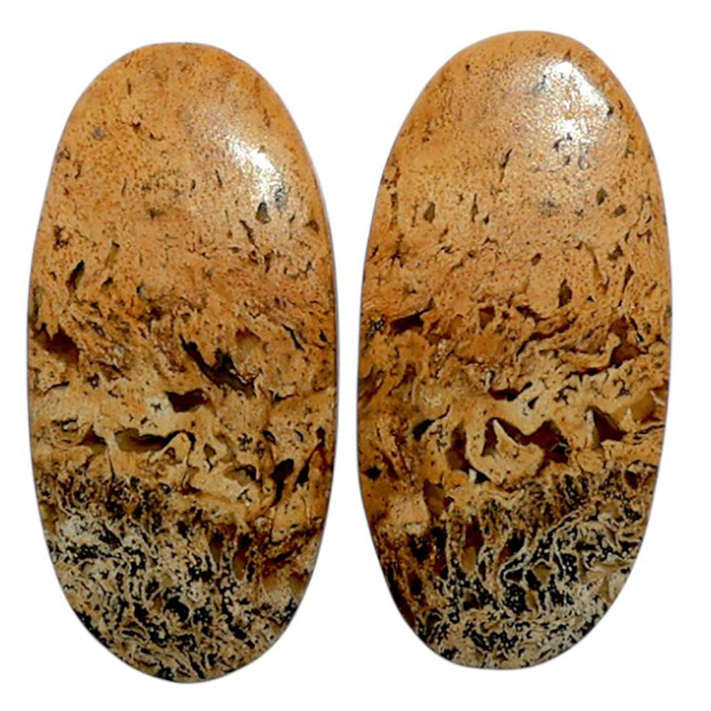 Root Plume Agate Pair 12.7x25.9x4 mm Oval Shape Polished Gemstone LS18-07850