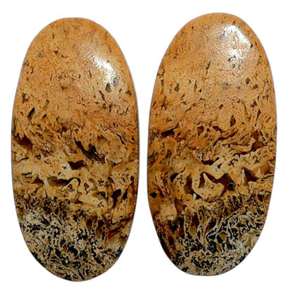 Root Plume Agate Pair 12.7x25.9x4 mm Oval Shape Polished Gemstone LS18-07850