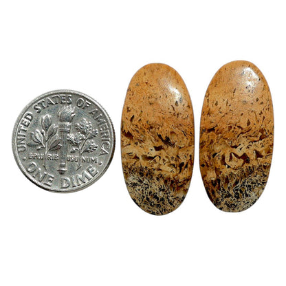 Root Plume Agate Pair 12.7x25.9x4 mm Oval Shape Polished Gemstone LS18-07850