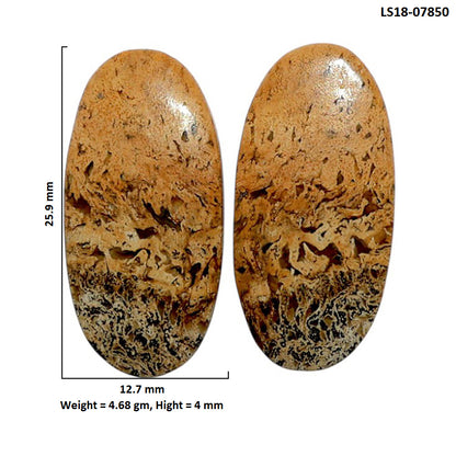 Root Plume Agate Pair 12.7x25.9x4 mm Oval Shape Polished Gemstone LS18-07850
