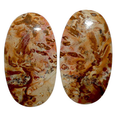 Root Plume Agate Pair 14.1x25.1x4 mm Oval Shape Polished Gemstone LS18-07851