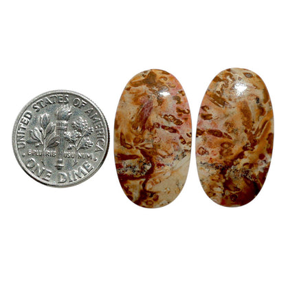 Root Plume Agate Pair 14.1x25.1x4 mm Oval Shape Polished Gemstone LS18-07851