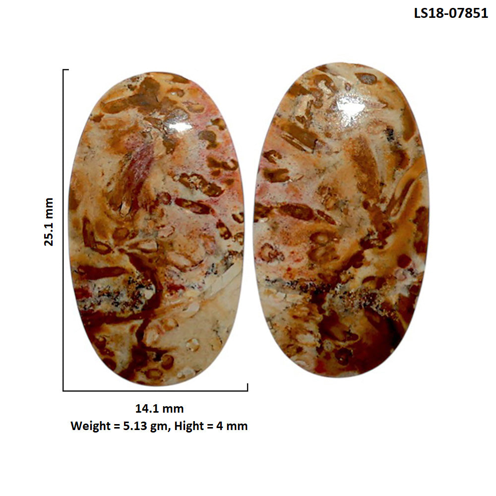 Root Plume Agate Pair 14.1x25.1x4 mm Oval Shape Polished Gemstone LS18-07851