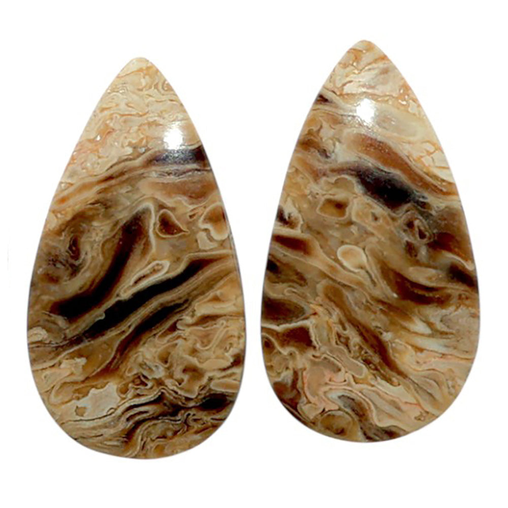 Root Plume Agate Pair 13.1x23.85x4 mm Pear Shape Polished Gemstone LS18-07852