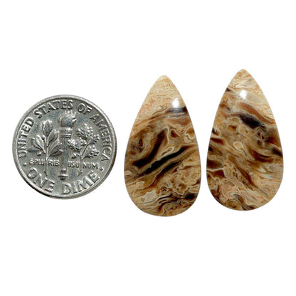 Root Plume Agate Pair 13.1x23.85x4 mm Pear Shape Polished Gemstone LS18-07852