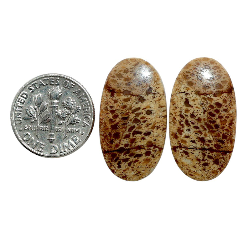 Root Plume Agate Pair 14.1x25.85x4 mm Oval Shape Polished Gemstone LS18-07853