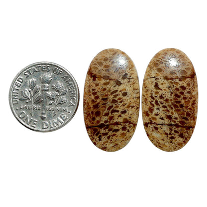 Root Plume Agate Pair 14.1x25.85x4 mm Oval Shape Polished Gemstone LS18-07853