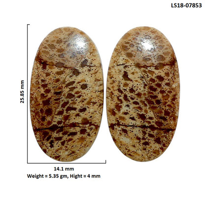 Root Plume Agate Pair 14.1x25.85x4 mm Oval Shape Polished Gemstone LS18-07853