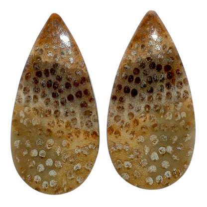 Root Plume Agate Pair 12.1x24.6x3.7 mm Pear Shape Polished Gemstone LS18-07855