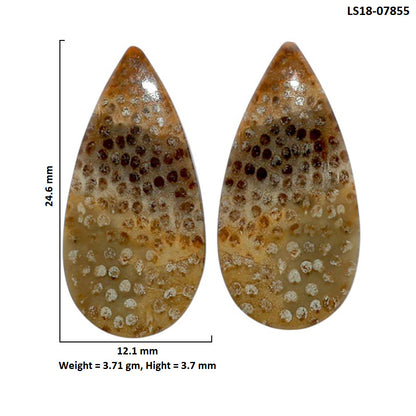 Root Plume Agate Pair 12.1x24.6x3.7 mm Pear Shape Polished Gemstone LS18-07855